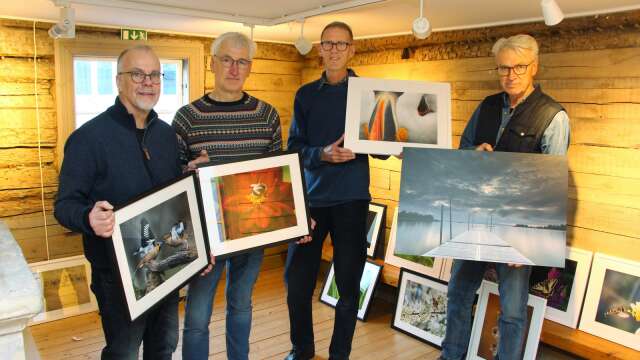 Nils-Olof Måsberg, Kenneth Sörensen, Kenneth Franzén och Tore Johansson visar upp ett urval av tavlorna.