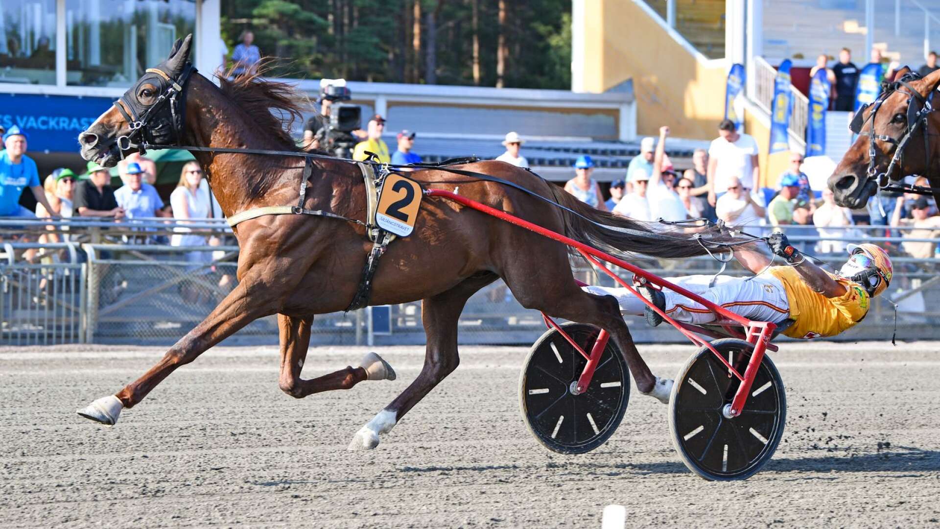 Efter en urstark avslutning vann Vernissage Grif Årjängs Stora Sprinterlopp 2021.