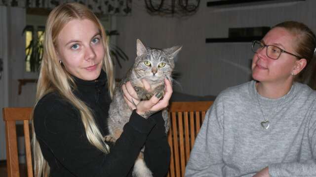 Felicia Hellinge är kassör i Djurskyddet Norra Värmland och även jourhem. ”Det ger så mycket att se en katts utveckling”, säger hon och får medhåll av ordförande Jennie Strömberg. 