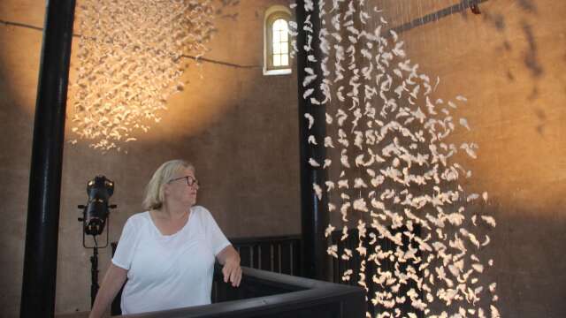 Konstnären Gunilla Bandolins utställning Flyttfåglar hade vernissage i gamla vattentornet.