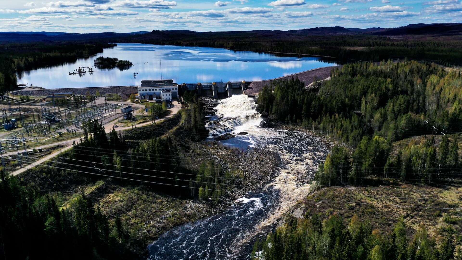 Utbyggnaden av vattenkraft i Sverige har påverkat både växter och djur som är beroende av forsar och fall så att de har försvunnit idag, samt har den biologiska mångfalden i vattnet och floddalarna minskat kraftigt, skriver insändarskribenten.