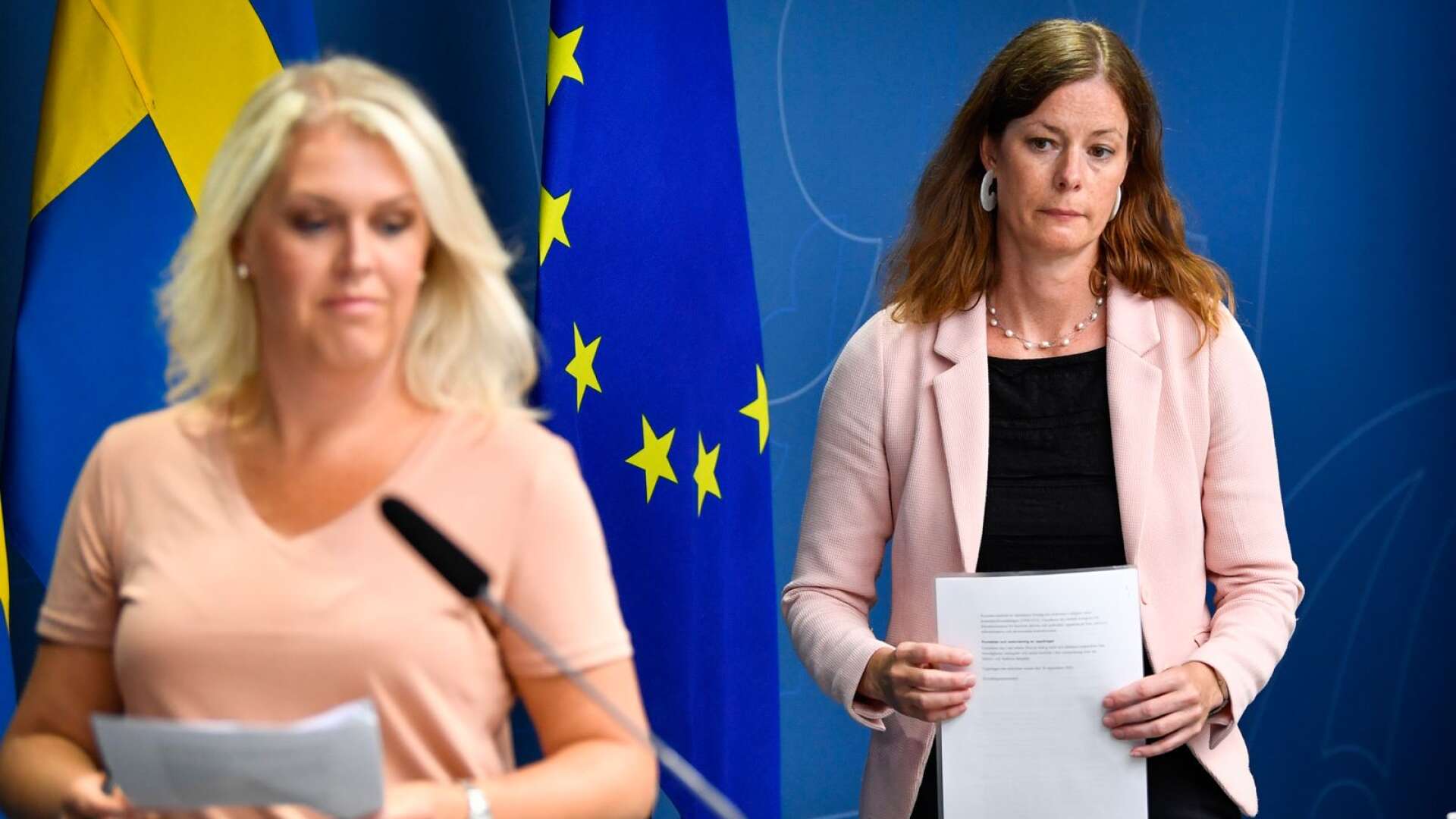 Socialminister Lena Hallengren (S) har gett Karin Lewin ett utredningsuppdrag.