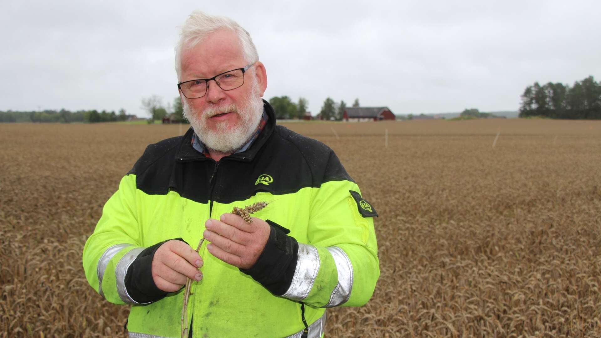 De lantbrukare som är mest i farozonen är de som har mogen säd som står och väntar på att skördas, menar Håkan Persson.