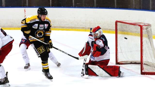 Åmåls SK:s Jonathan Andersson spikade slutresultatet till 6–4 i tom bur mot Arvika HC i fredags och gjorde sitt andra mål för säsongen. Arkivbild.