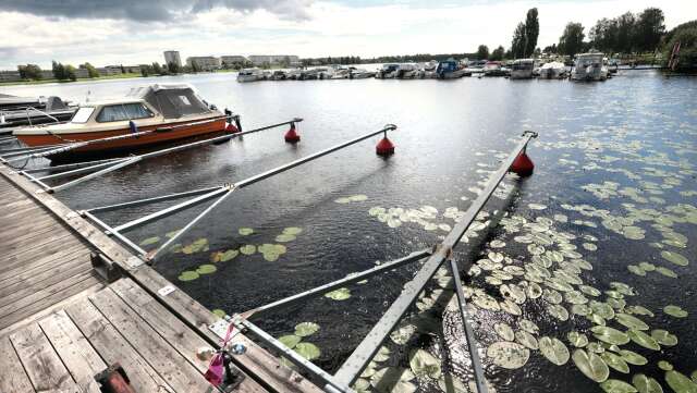 Det blir dyrare med båtplatser i Karlstad efter nyår. 