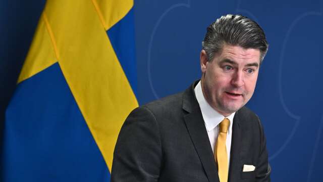 Sverigedemokraternas ekonomisk-politiske talesperson Oscar Sjöstedt.