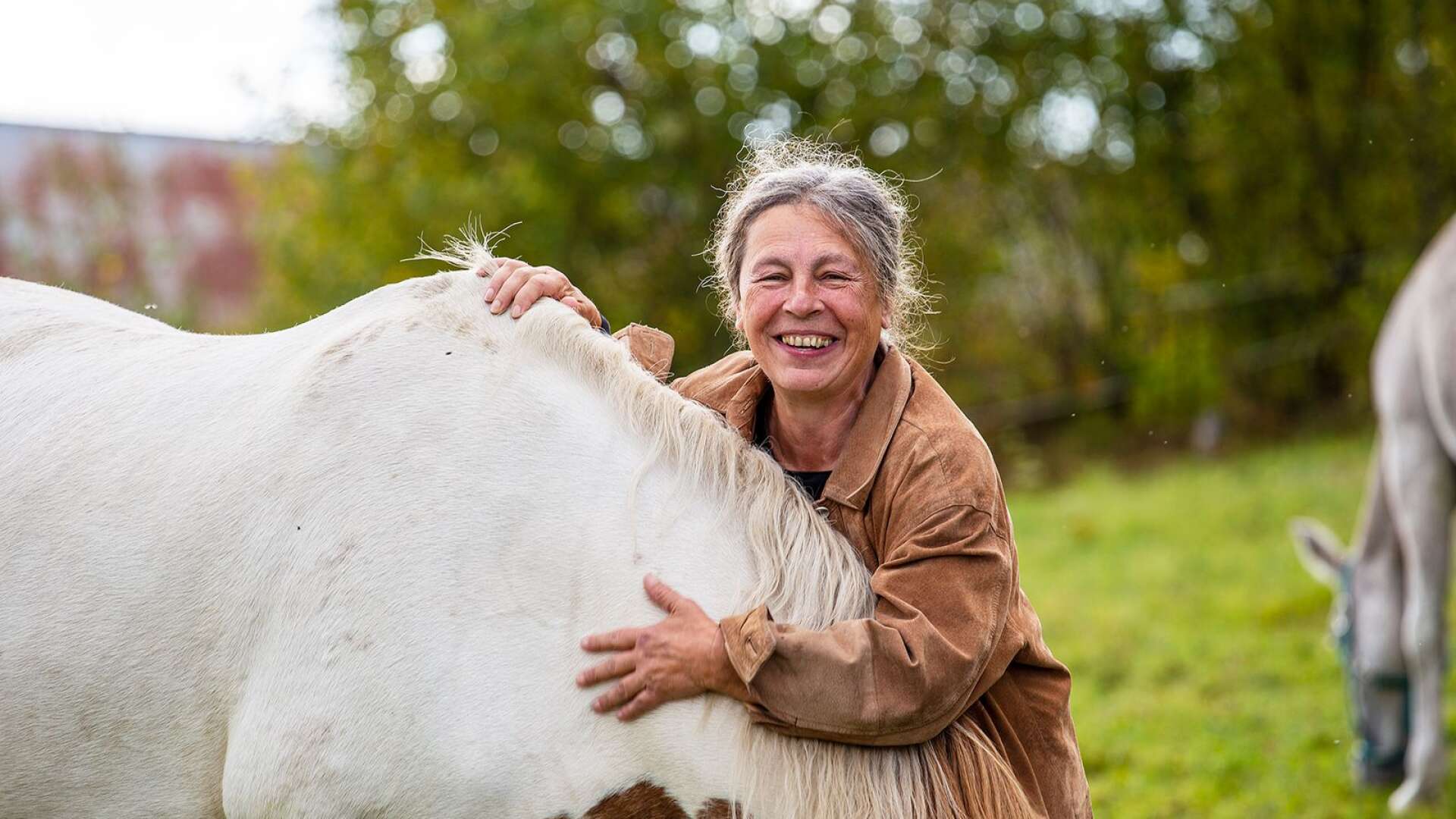 2018 red österrikiska Greta Lachner och hästen Bento från Wien till Norge. På ditvägen passerade de Bengtsfors och bodde hos Ingrid och Bengt Dåverhög, bland andra.