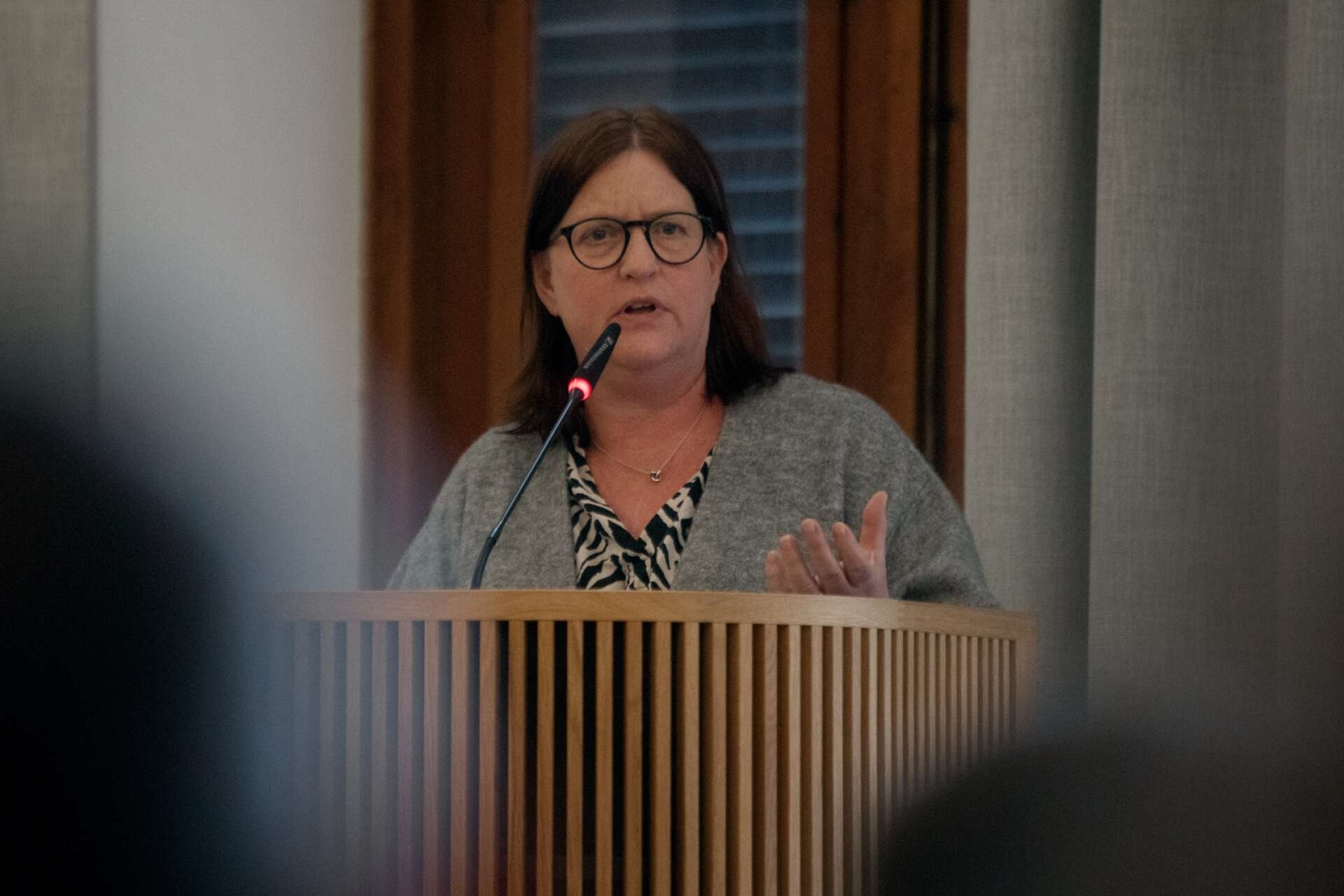 Maria Nyberg (V) yrkade avslag på Sverigedemokraternas förslag till utredning om att införa partisekreterare. 