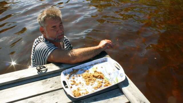 Per Schützer matar fiskar i Hyttsjön. Det händer att det kommer flera hundra: &quot;Det kokar i vattnet&quot;.
