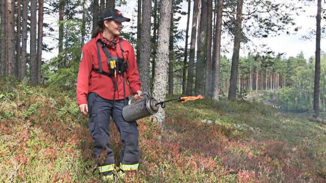 Kursledare Annie Johansson för Kyllsjö skog AB håller i kursen om naturvårdsbränningar.