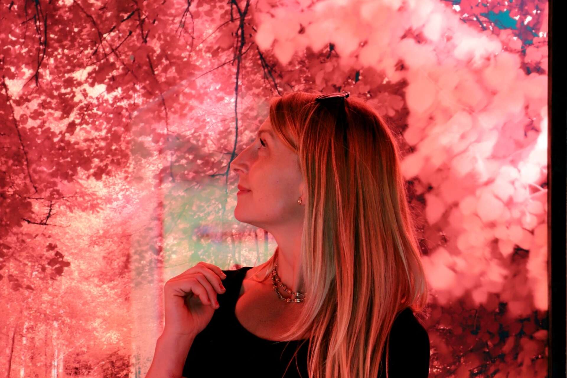 Stella Broos inne i paviljongen där Lovisa Ringborgs rödmättade skogsfoton på glas skimrar när solen lyser på dem.