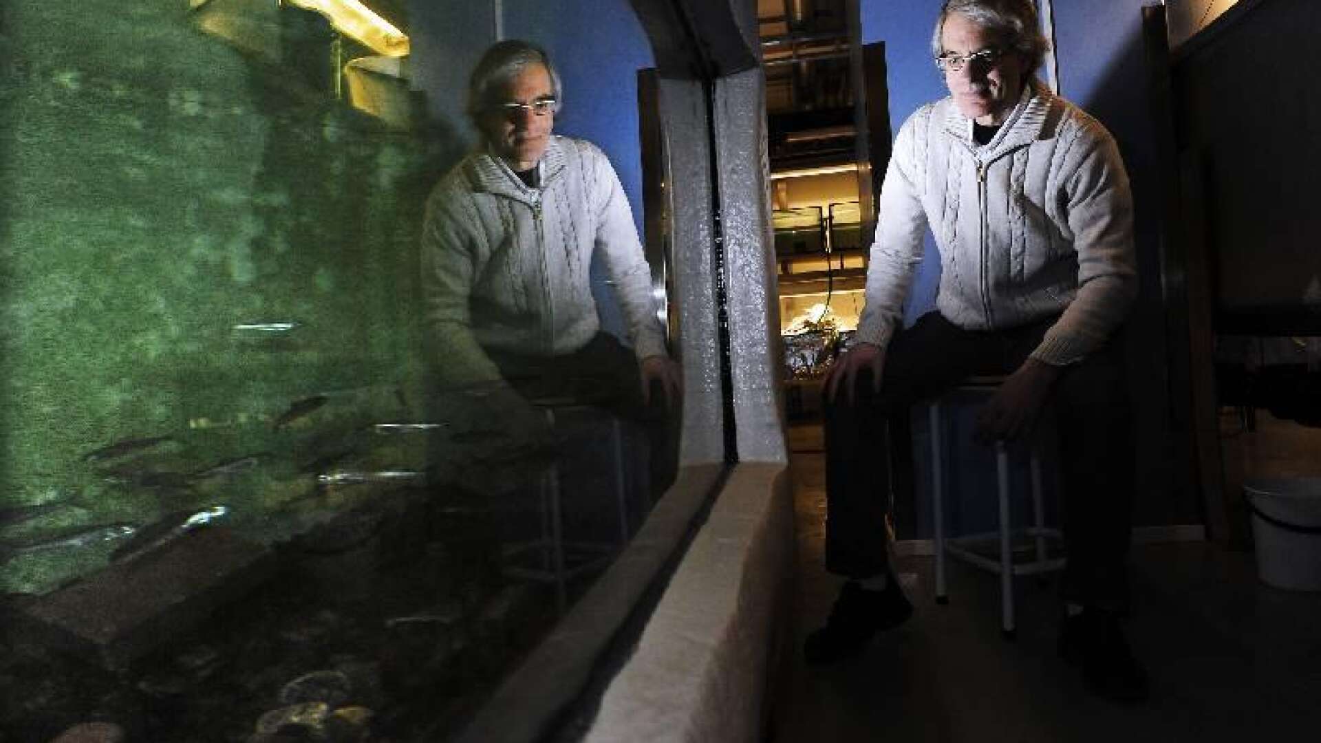 Larry Greenberg, professor i fiskekologi, är mycket nöjd med den akvarieanläggning som han fick Karlstads universitet att bygga för att locka honom till sig – ”jag kunde inte tro att det skulle bli så fint”, säger han.