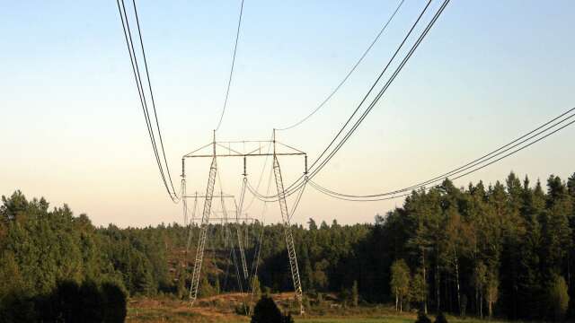 ”Ett regeringsskifte är absolut nödvändigt för att få tillbaka energipriserna till en nivå som svenska hushåll klarar av och förtjänar”, skriver debattörerna.