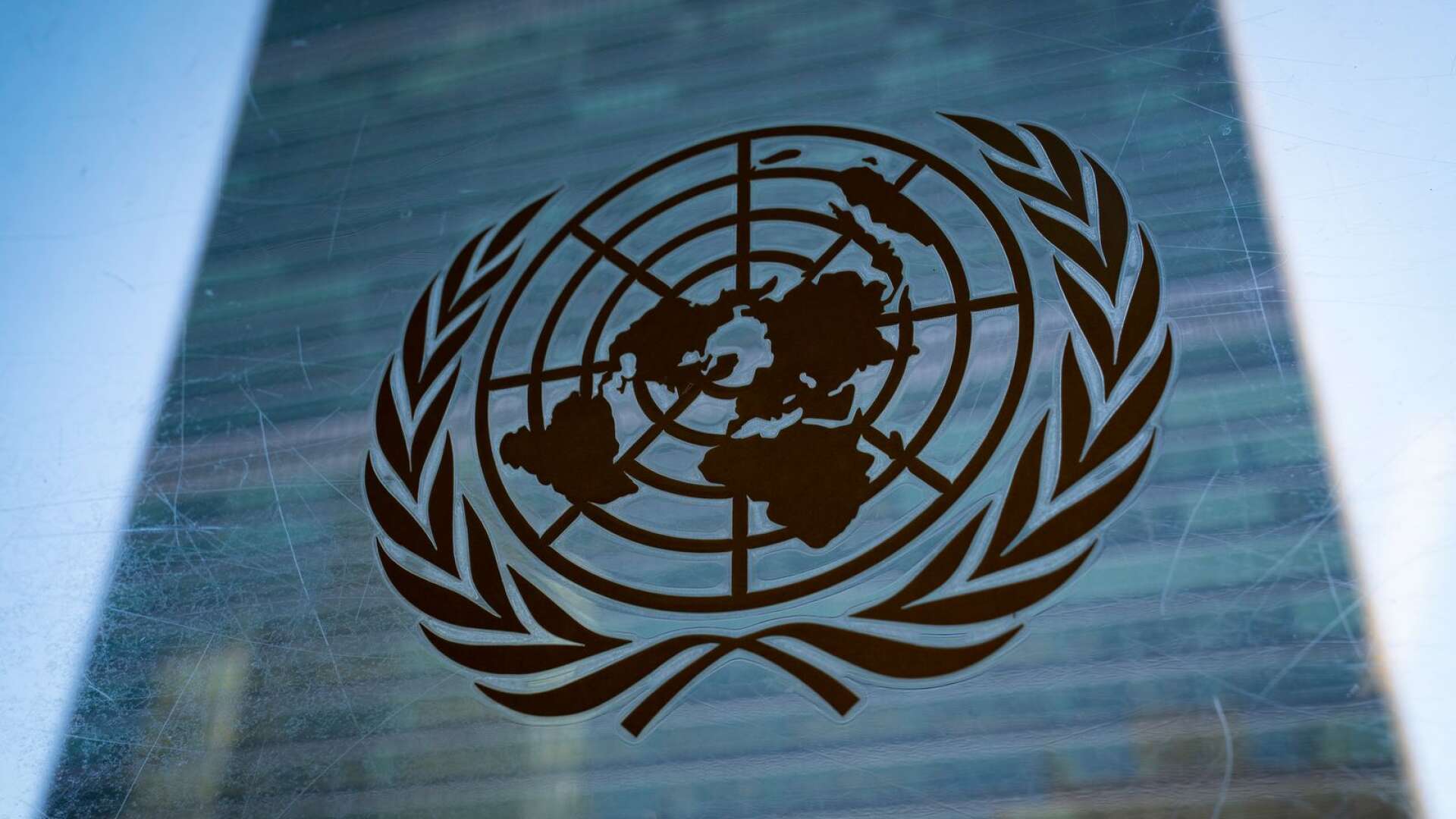 FN har gett världen en omfattande katalog över mänskliga rättigheter och är unikt som mötesplats, skriver Annelie Börjesson med flera.