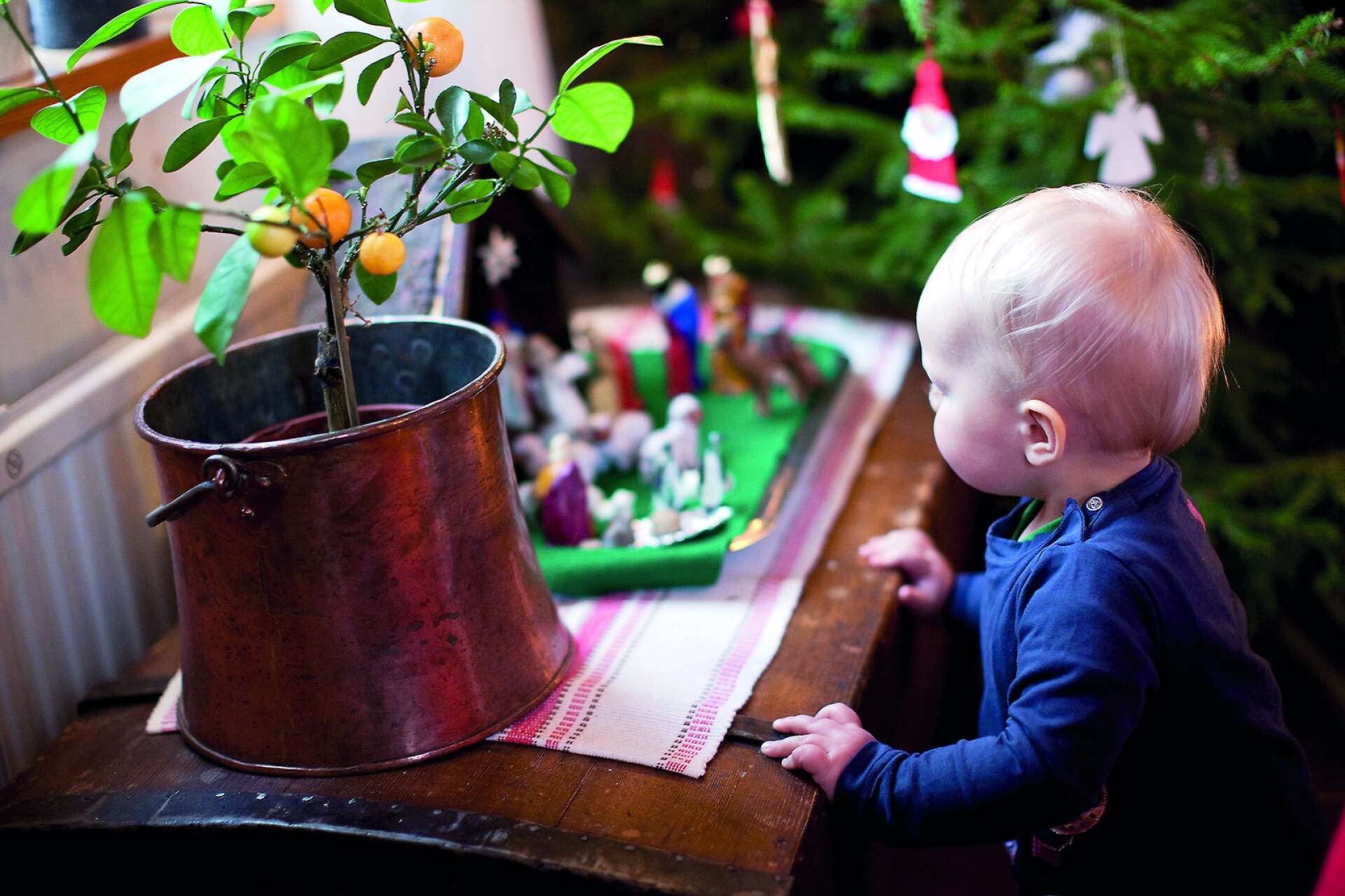 Många små barn blir oerhört fascinerade av julkrubban, en fin möjlighet att tala om varför vi firar jul. Foto: Josefin Casgteryd