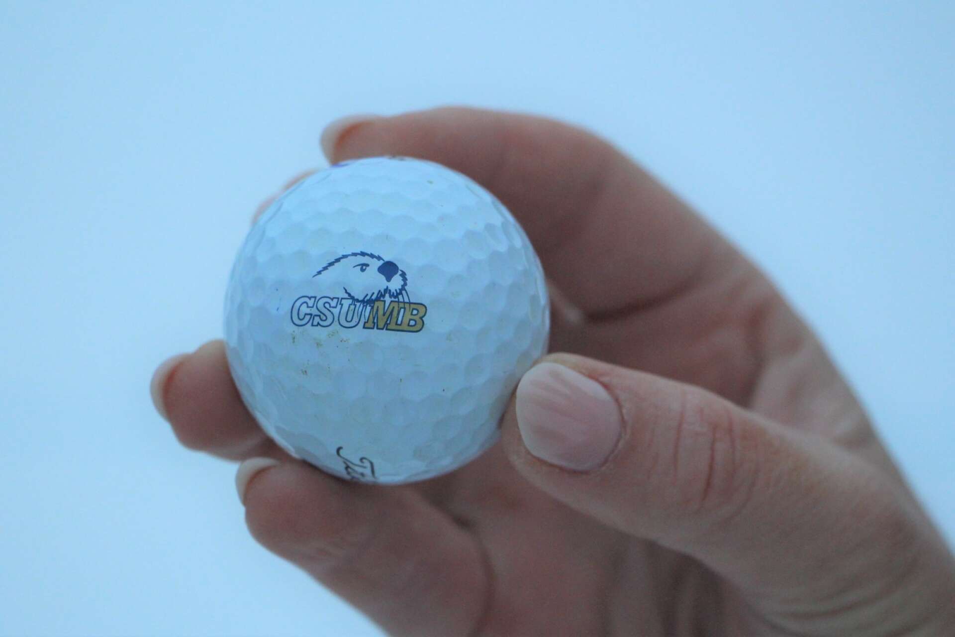 Golfboll från California State University.