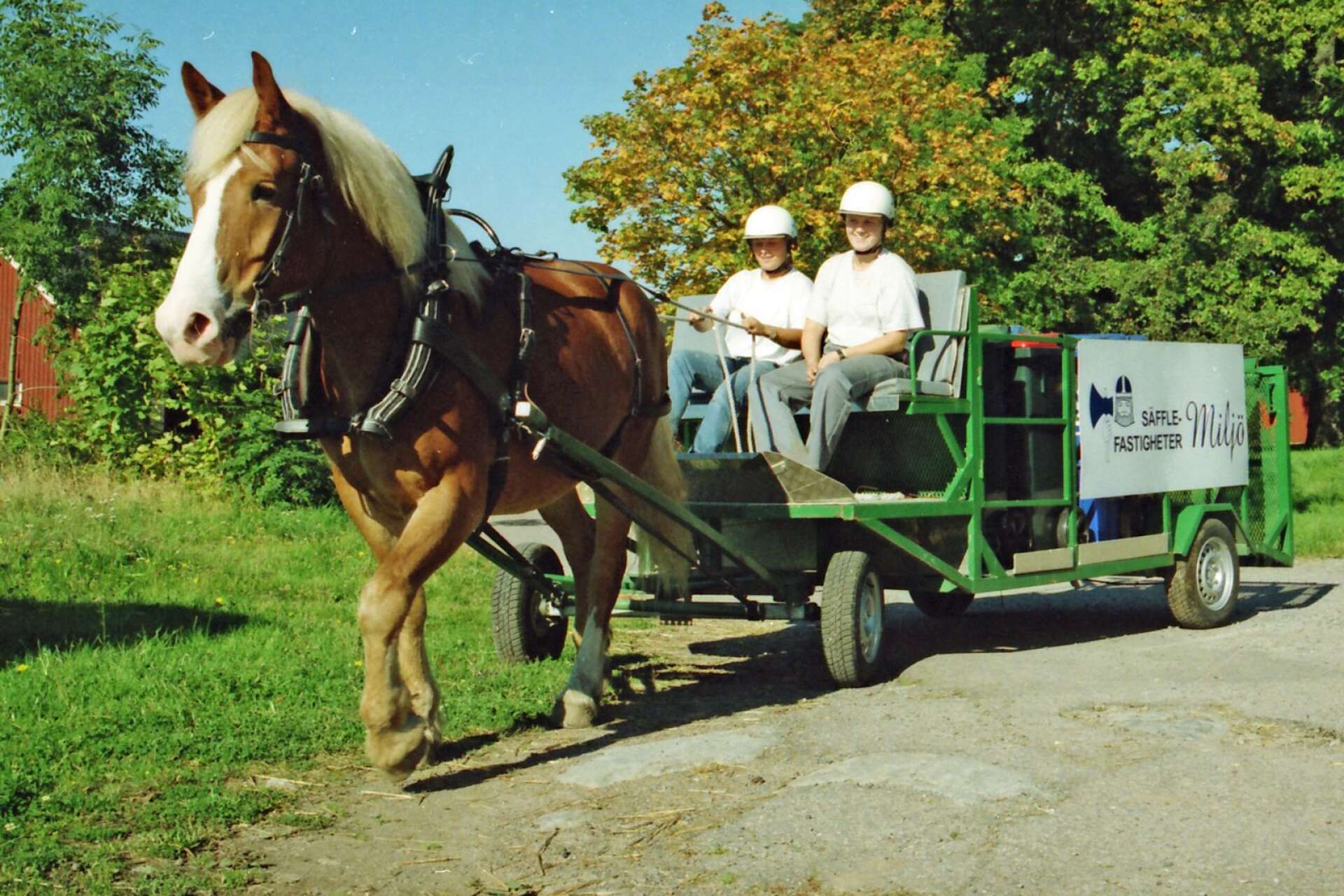 Säffle kommun delar ibland ut ett speciellt miljöstipendium. Det ovanliga som hände 1998 var att stipendiet tilldelades en häst, nämligen sophämtningshästen Millan. 
