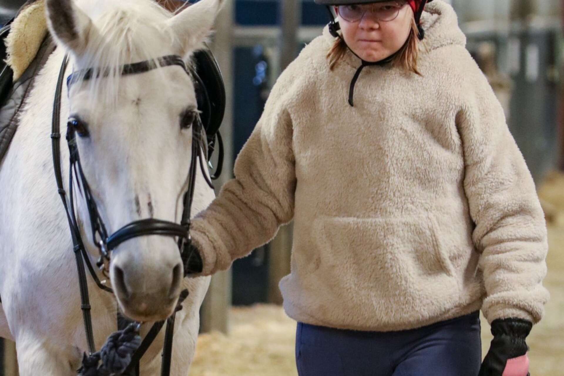 Molly leder hästen Dara till lektionen.