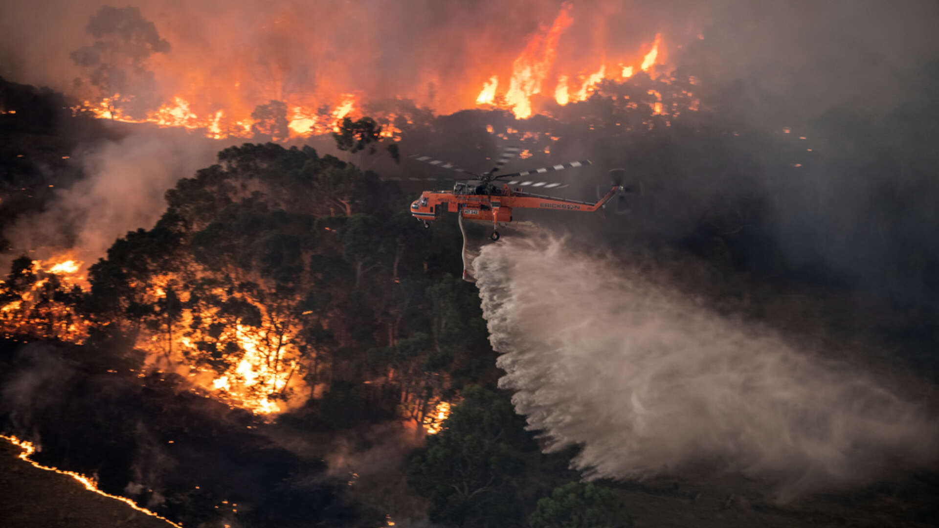 En helikopter vattenbombar bränderna i East Gippsland-området i delstaten Victoria.