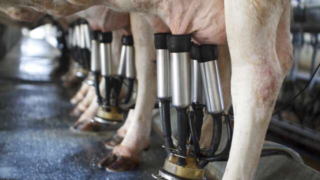 Totalt 2 818 500 ton mjölk vägdes in under 2023, en ökning med 2 procent jämfört med 2022.