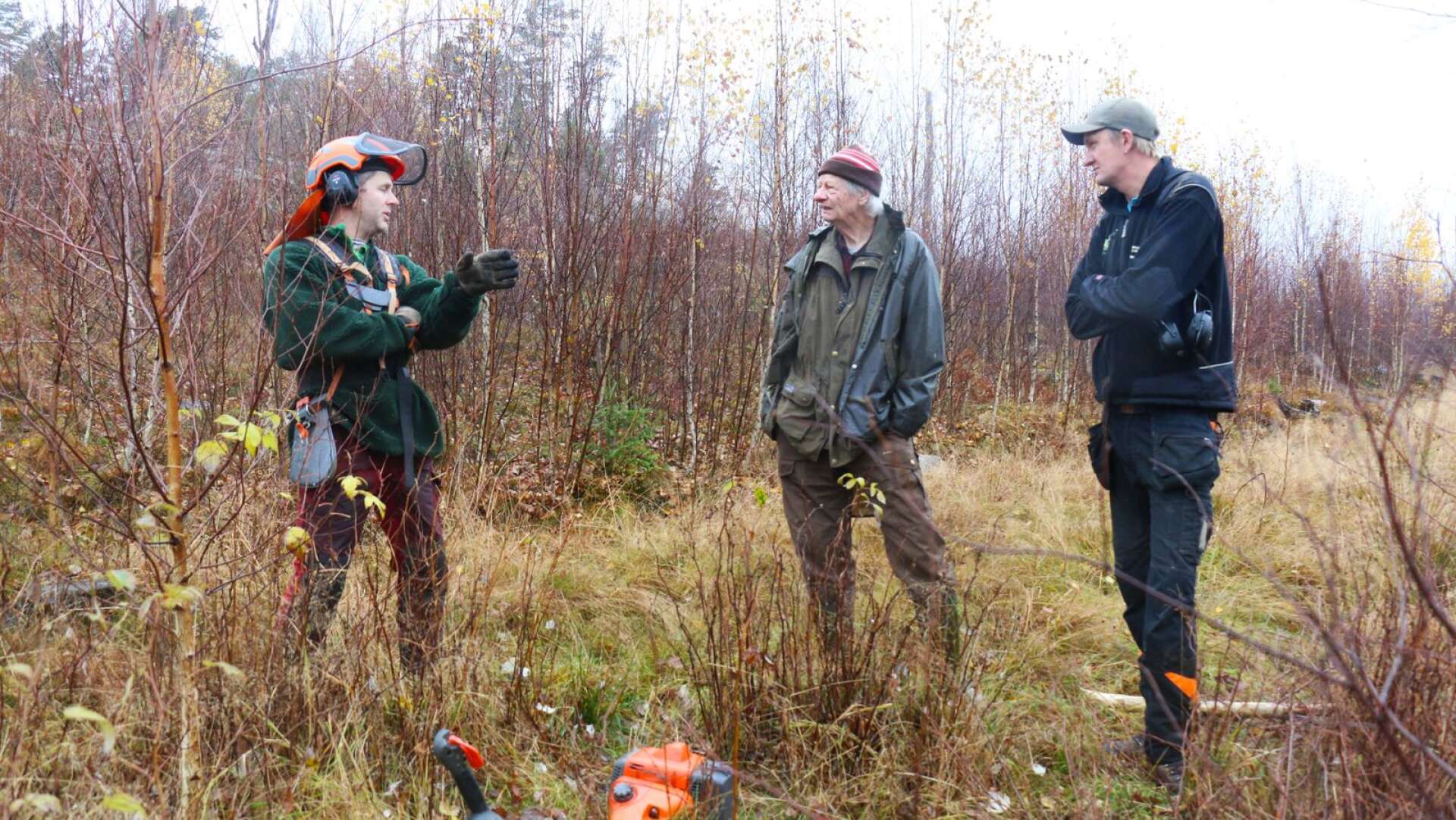 Magnus Larsson, Ingvar Arvidsson och Jesper Johansson möttes och diskuterade skogsbruk.