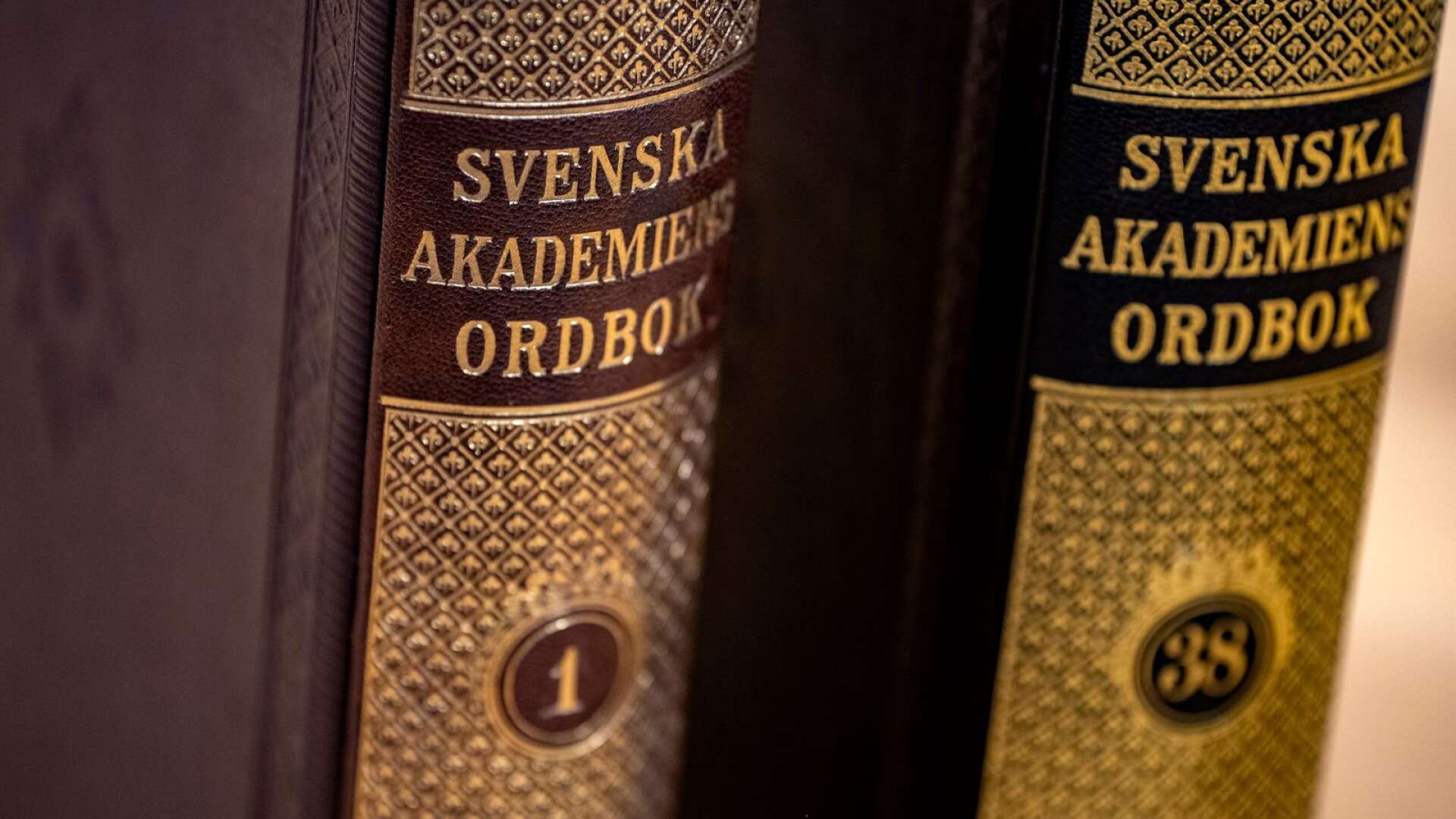 Det finns inga språkvetare eller lingvister som kan se in i framtiden, skriver Per-Åke Lindblom.