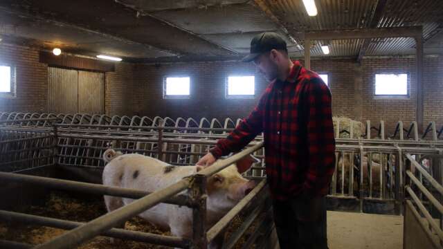 Christoffer Seleskog tycker att synen på lantbruk och djurhållning inte alltid stämmer med verkligheten. Han vill visa att det finns gårdar som sköter sig och tar hand om djuren.