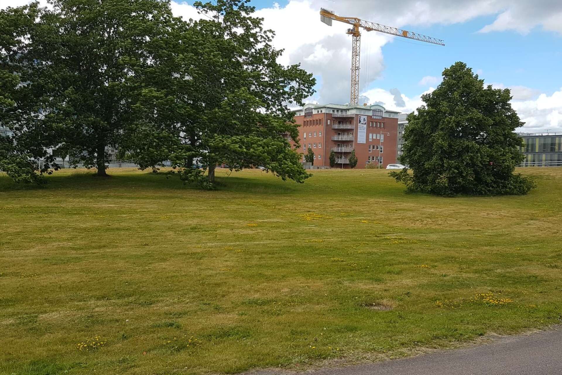 Det är på grönytan mellan Packhusallén och Karlstads paddlarklubbs lokaler som Lecab fastigheter vill bygga närmare 200 nya bostäder.