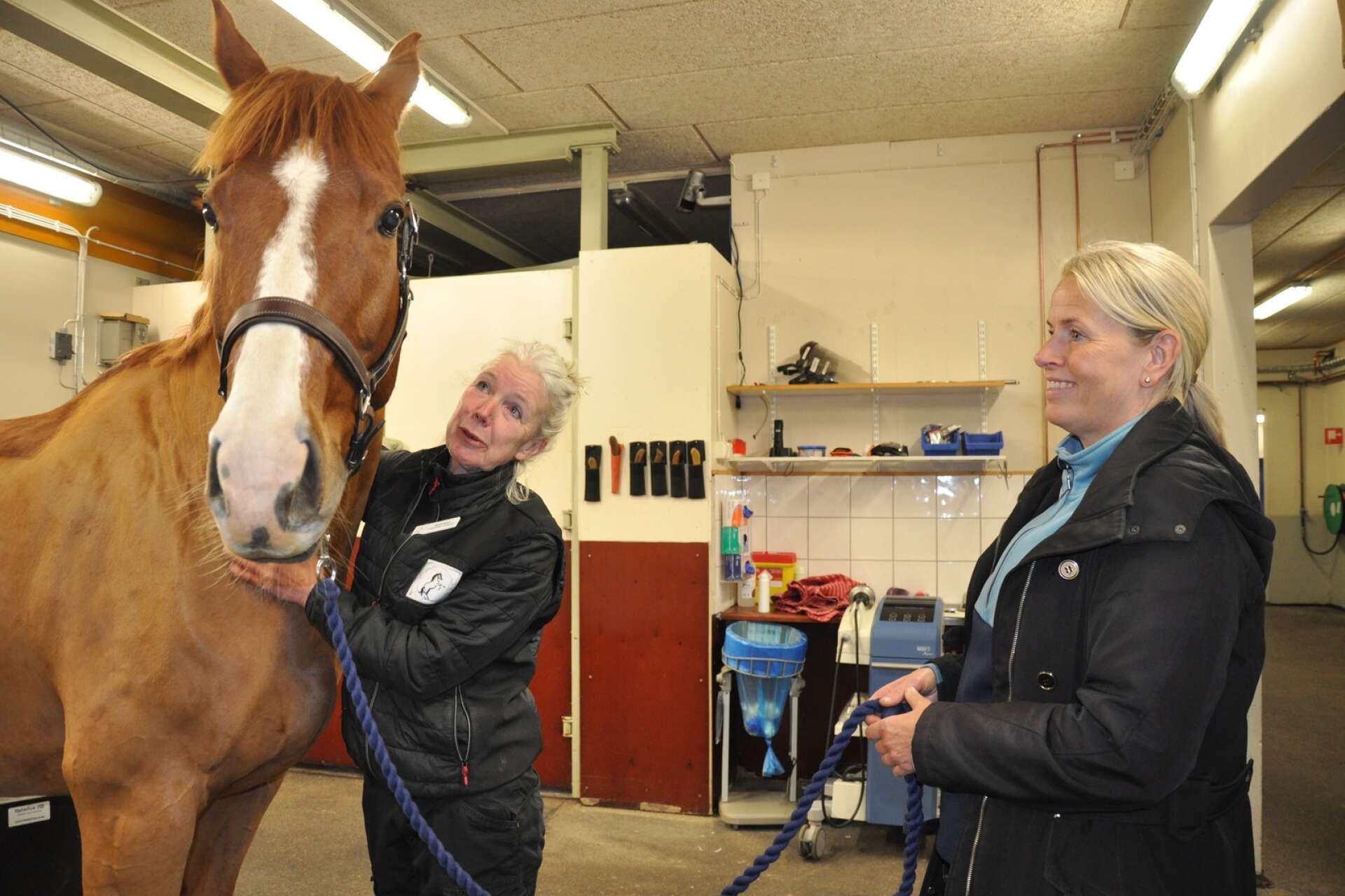 Equiterapeuten Charlotta Lindgren, till vänster, är snart färdig med dressyrhästen Roxlight - hon ska bara känna på nacken och böja en hov. Ägaren Yvonne Gamalielsson  tycker det är värt att åka från Uddevalla för behandling på Husaby.