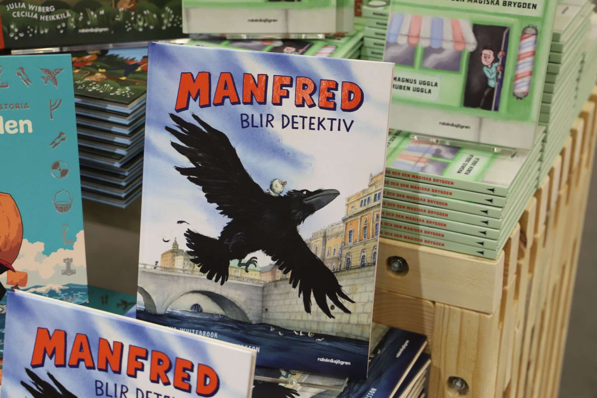 Manfred blir detektiv handlar om en vresig korp i Stockholm.