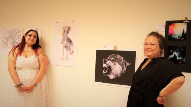 Konstnärerna Maria Mustola och Elin Ekman har konstutställning i Galleri Maja.