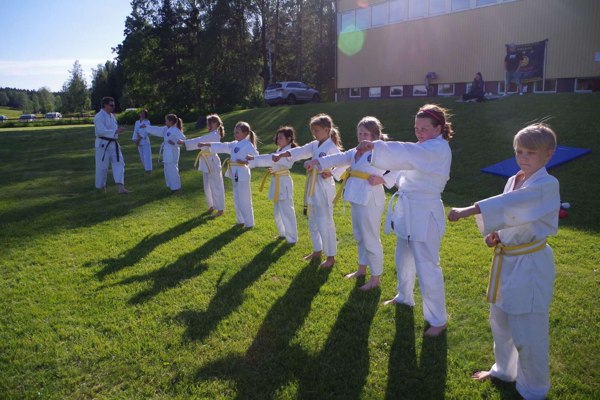 I ett strålande sommarväder har Svanskog-Långserud Kunibakai karateförening haft sin gradering.