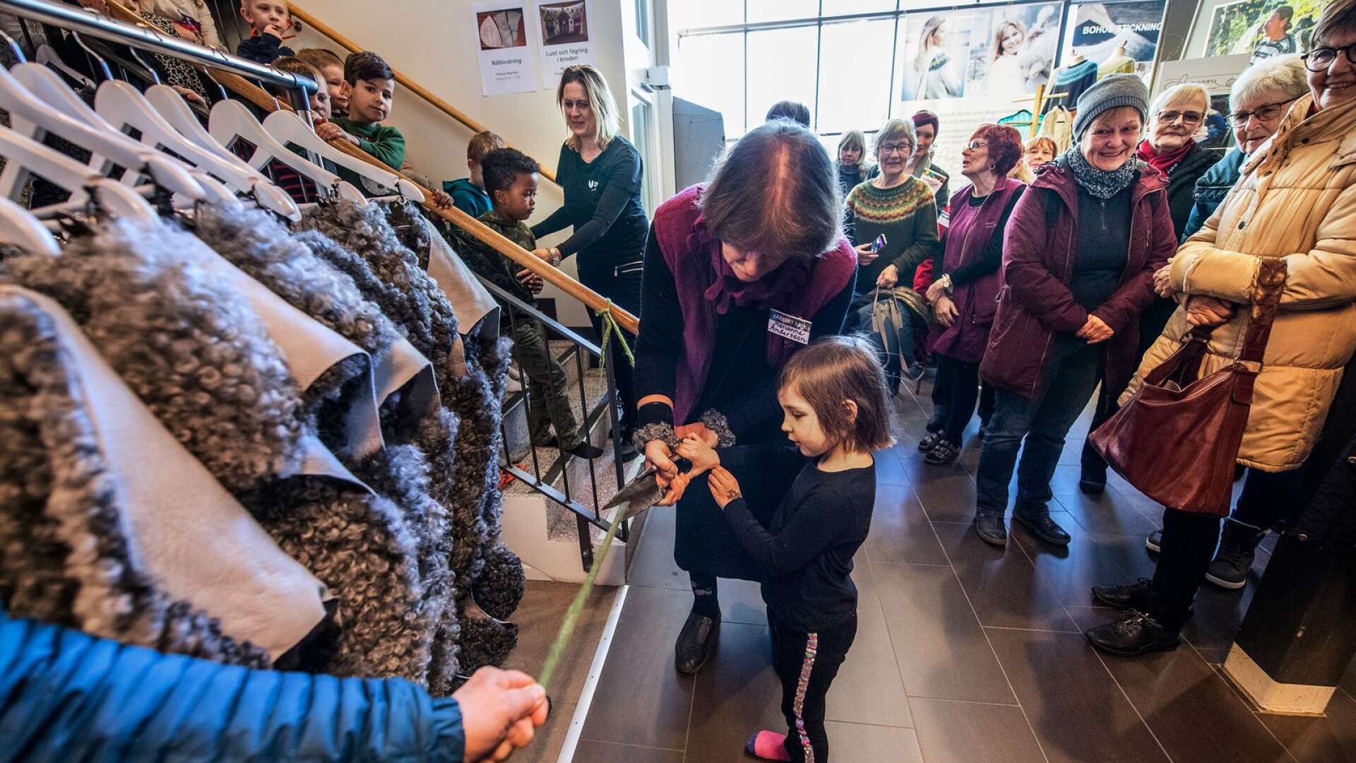 Förskolan Skogsgläntan invigde fårfesten. Här klipper 4-åriga Olivia bandet. 