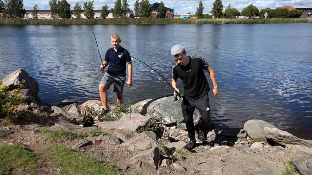 Linus och Christian Österberg provar fiskelyckan ute på piren vid oljehamnen.