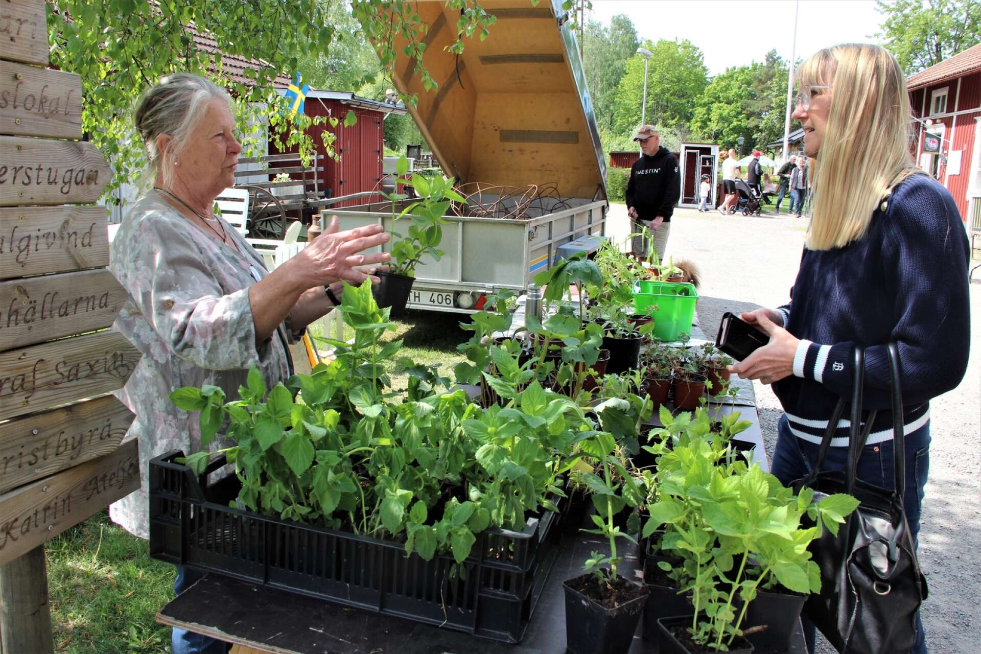 Ulrika Friberg Pallin är på jakt efter nya perenner och Eva Herrgård säljer mycket lundväxter.