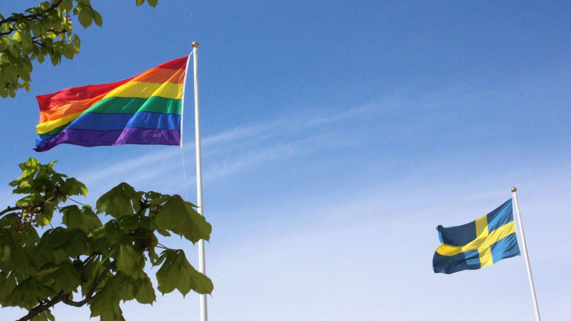 När Skövde pridefestival anordnas ska prideflaggan vaja i Tibro.