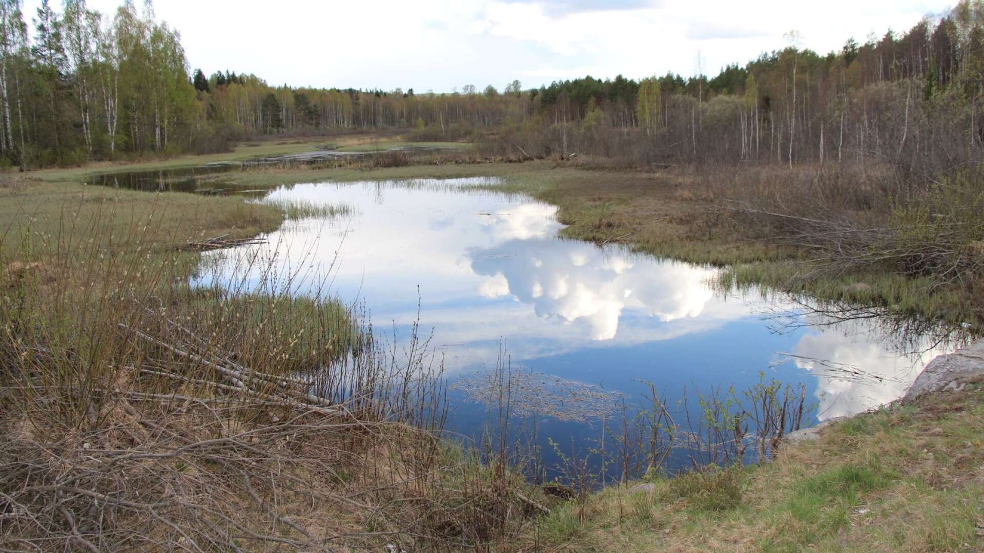 Stor-Ullen i Hagfors kommun är en rivningshotad damm. Om dammen rivs finns det risk att Hagälven blir torrlagd.