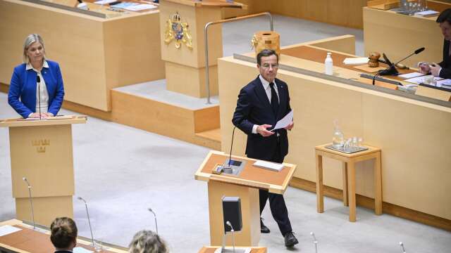 Insändarskribenten anser att Sveriges politiker bör fördöma Israels agerande.