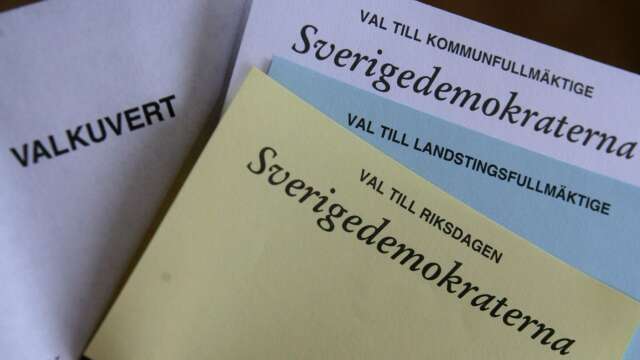 Två Sverigedemokrater avgår i samband med höstens första fullmäktigemöte i Hjo.