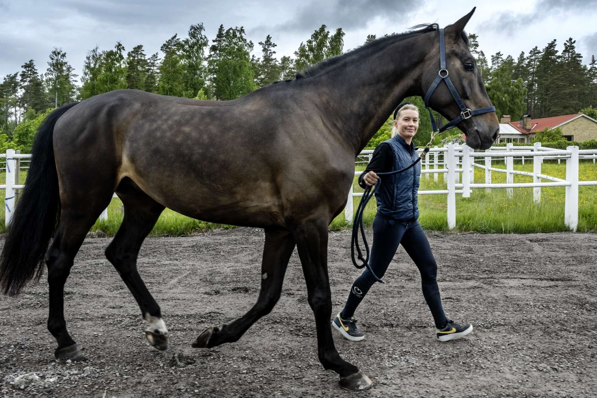 Tina Andersson och Gonzalez VH laddar inför inför Wermland Equestrian Games på Hammarö.