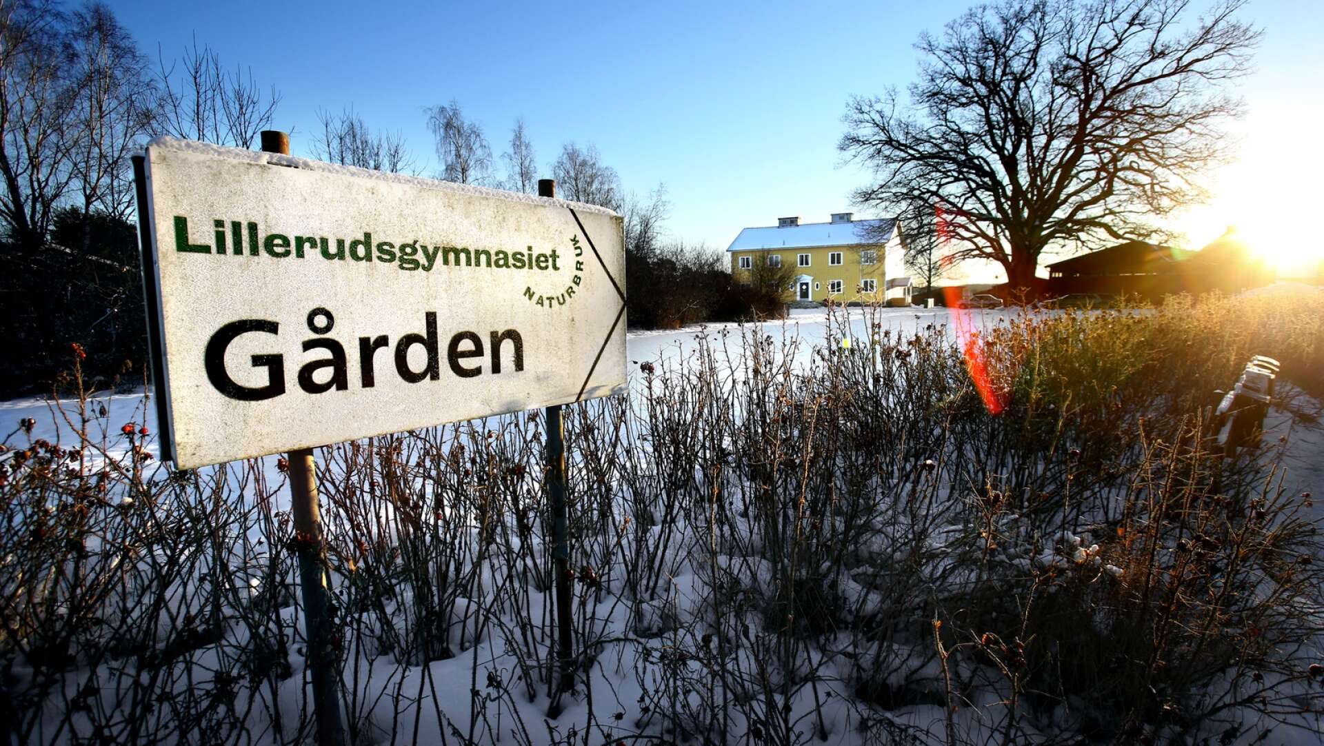 Skolledningen vid Lillerudsgymnasiet utanför Karlstad har ansökt om att få starta en treårig naturturismutbildning.