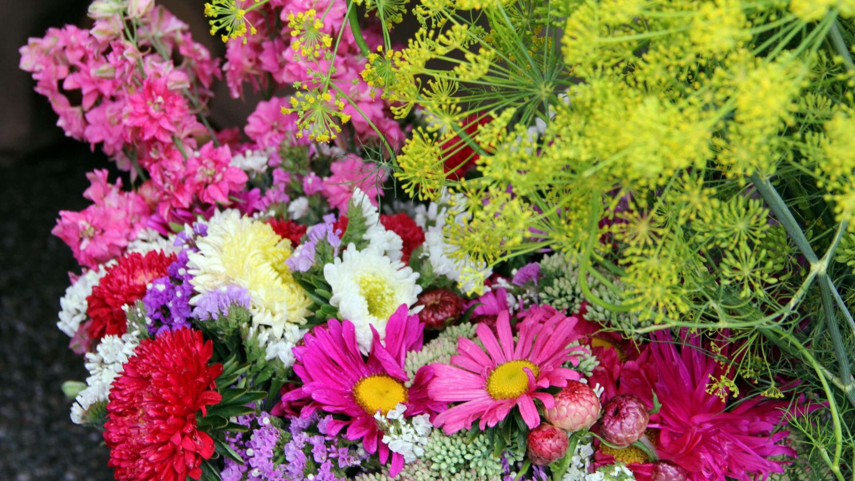 Doris Karlsson från Dals Långed sålde vackra blommor. 