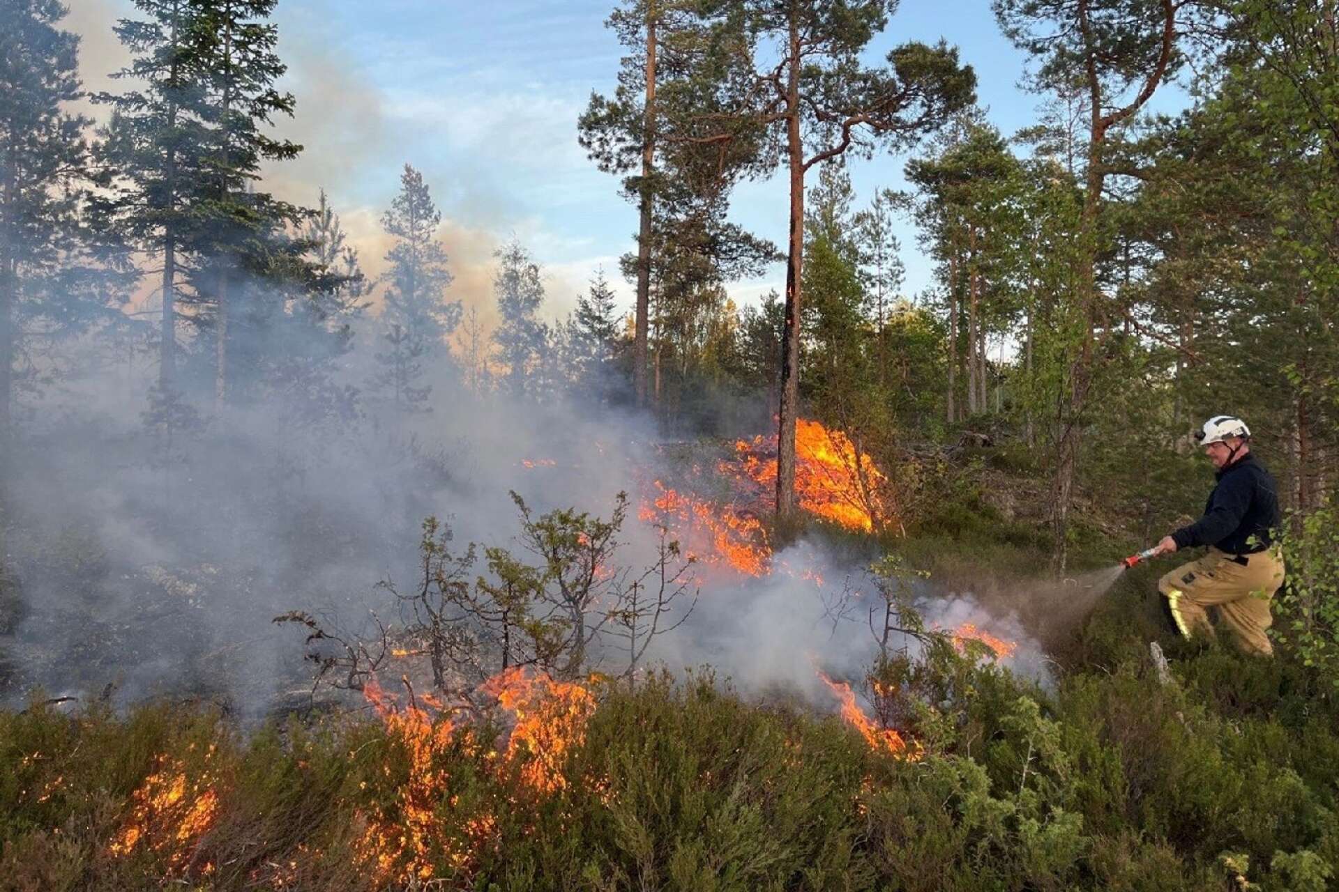 Det brinner fortfarande i skogen i Högsbyn, Tisselskog. Brandbekämpare har jobbat hela natten men de flesta av dem fick avlösning på tisdagsmorgonen. Det brinner rejält i vegetationen och på tisdagsförmiddagen tilltar vinden.