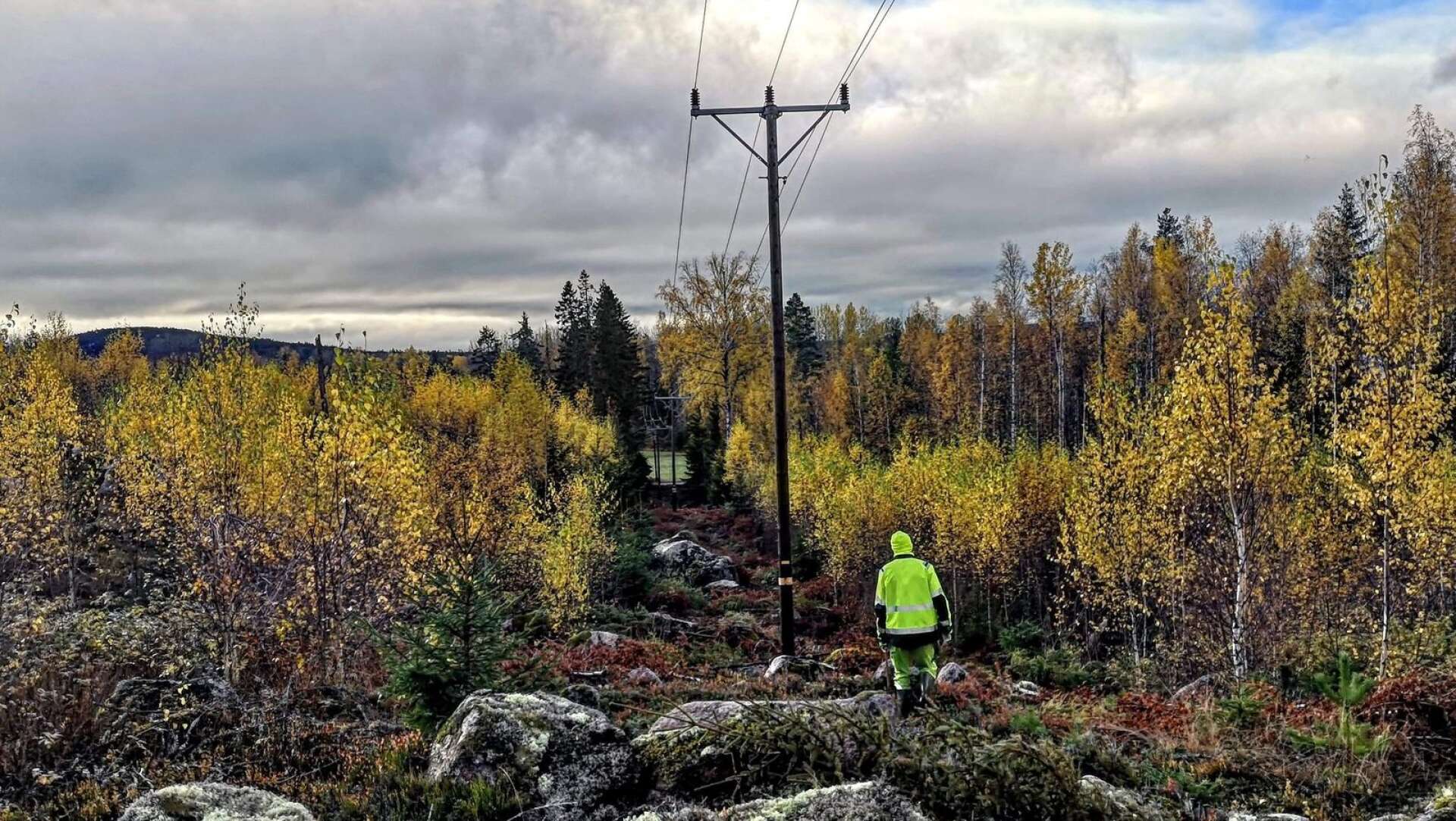 Karlskoga Energi &amp; Miljö och Degerfors Energi ska samarbeta kring elnäten.