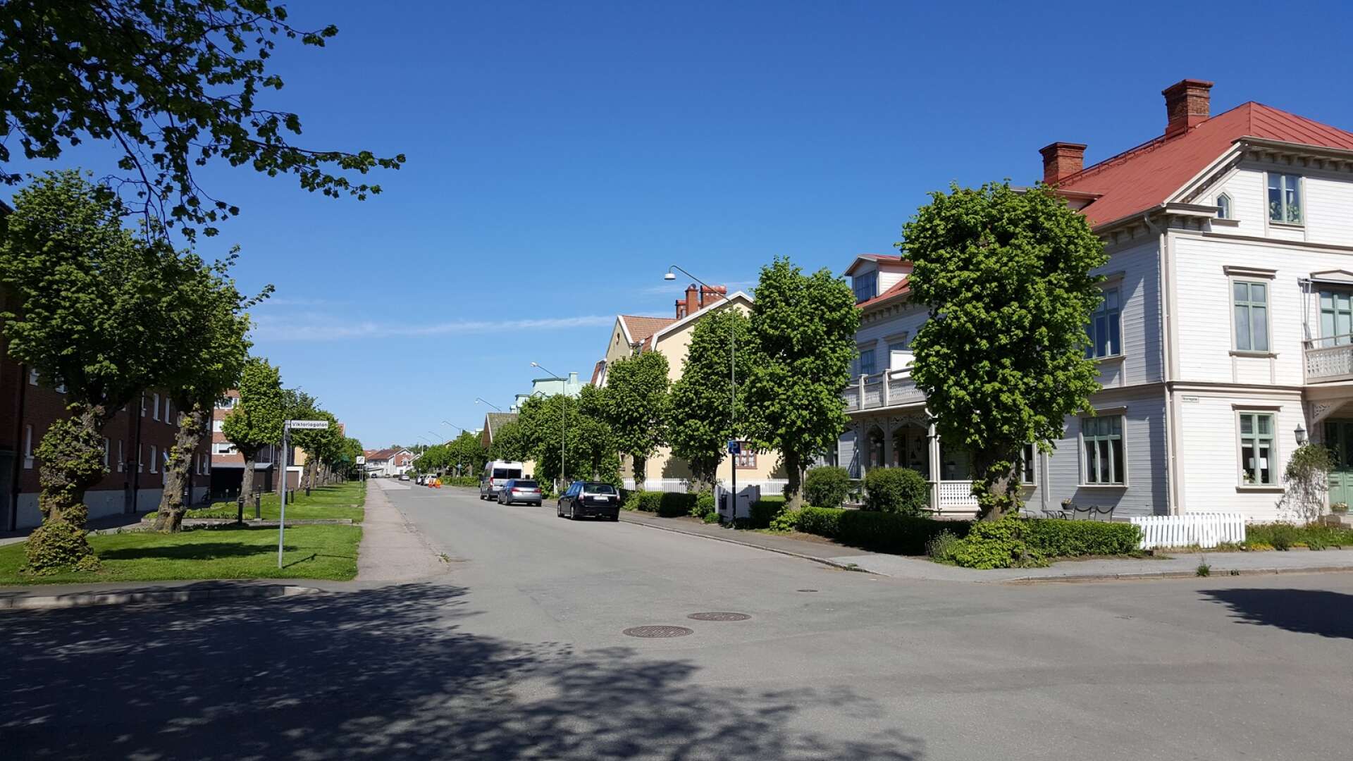 Alléträden på ömse sidor om Sturegatan är skyddade och ska bevaras. Vissa träd, även de på privat mark, sköts av kommunen, men inte alla.