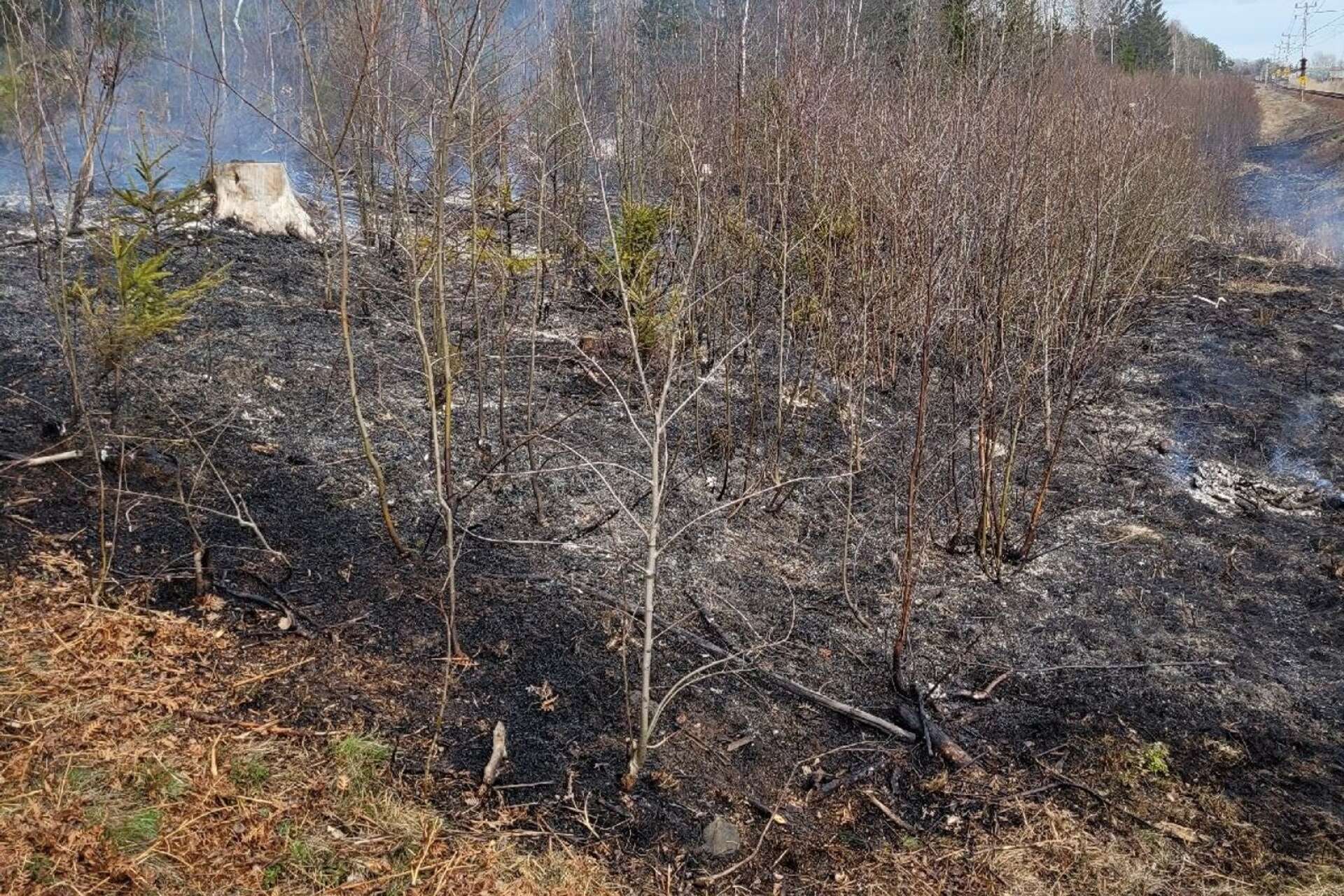 I söndags brand det på ett 2000 kvadratmeter stort område längs järnvägen söder om Säffle. På tisdagsmorgonen blossade det upo igen, i liten skala.