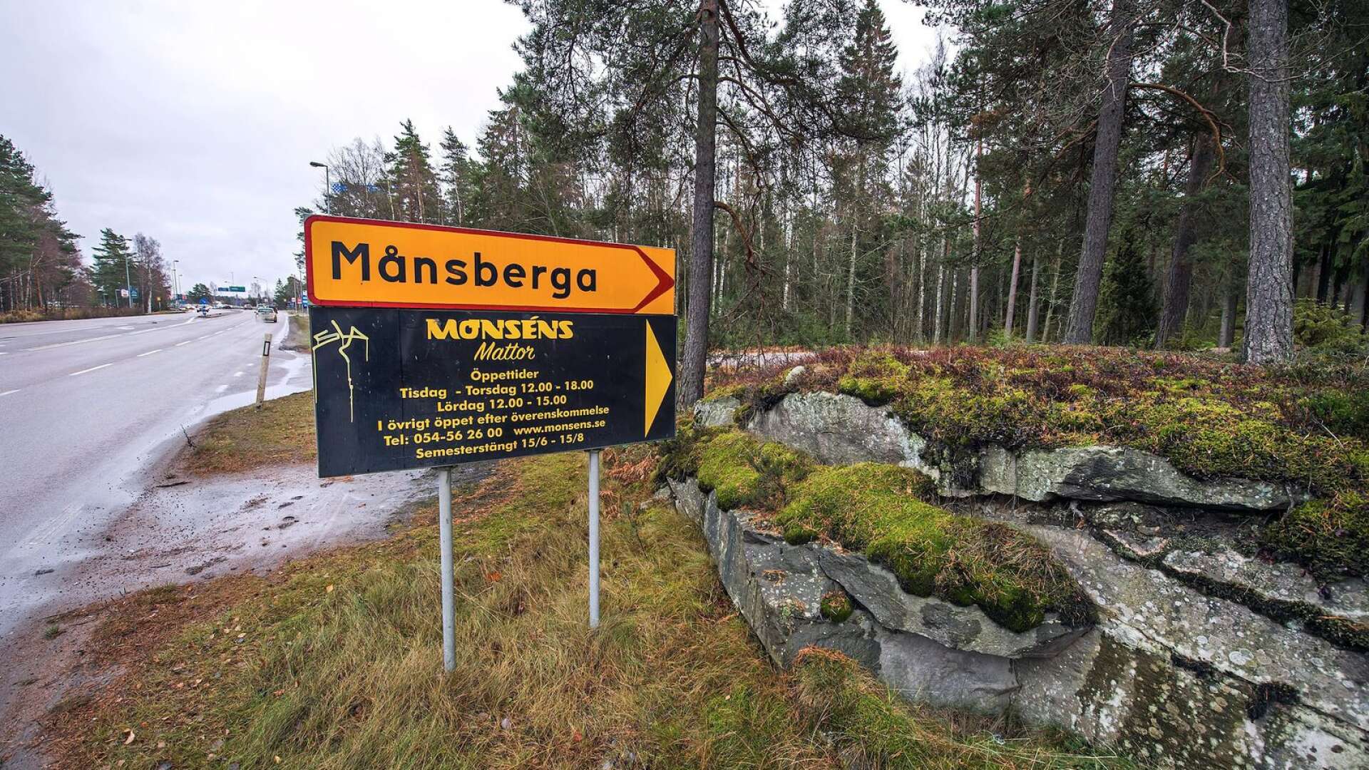 Naturskyddsföreningen i Karlstad vill stoppa planerna på ett handelsområde på Månsberget.
