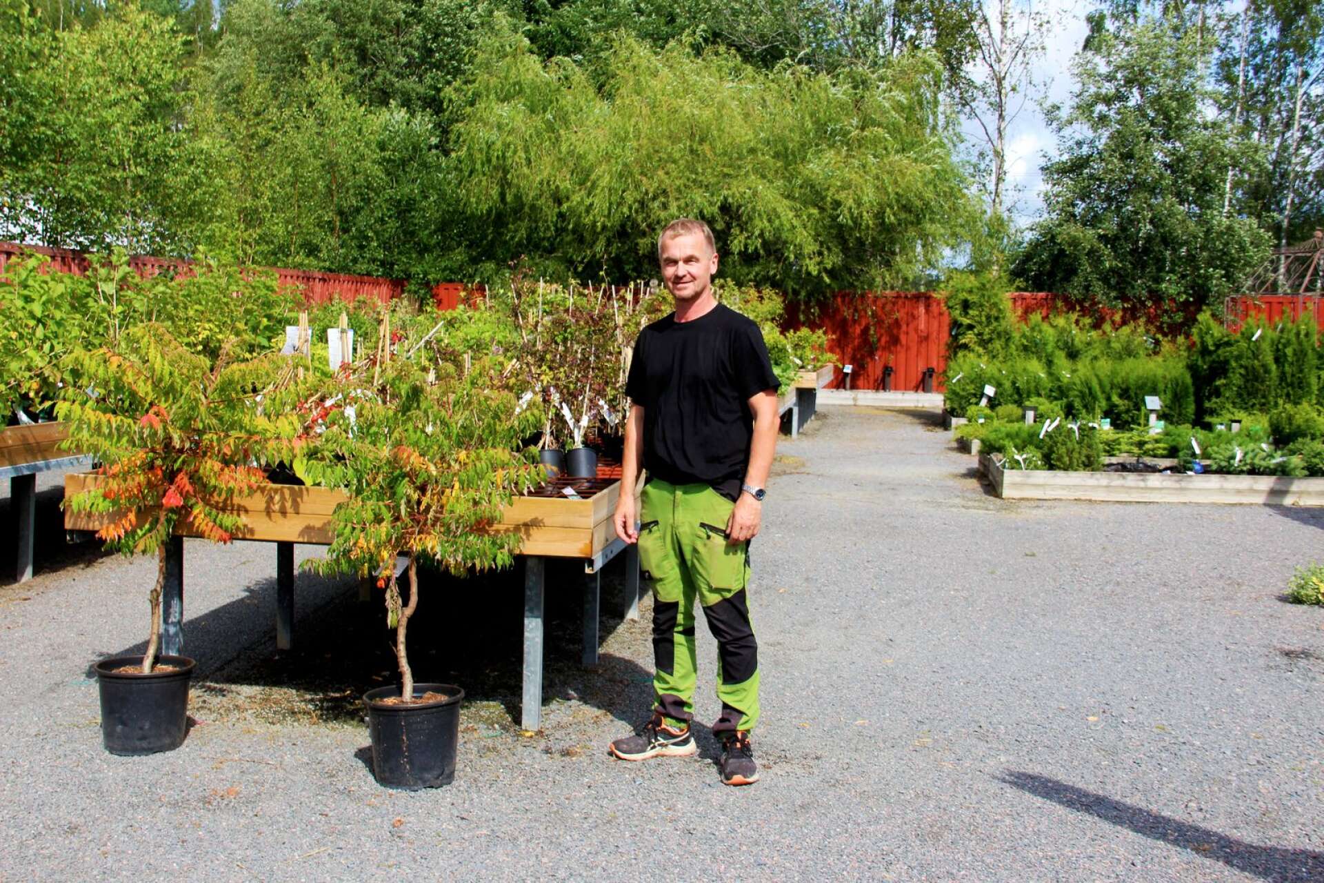 Hos Pomonadalens Handelsträdgård har Tord Andersson märkt av ett kraftigt uppsväng som håller i sig ännu, och det har varit tufft att få tag i nya växter för att kunna mäta sig med den stora efterfrågan.