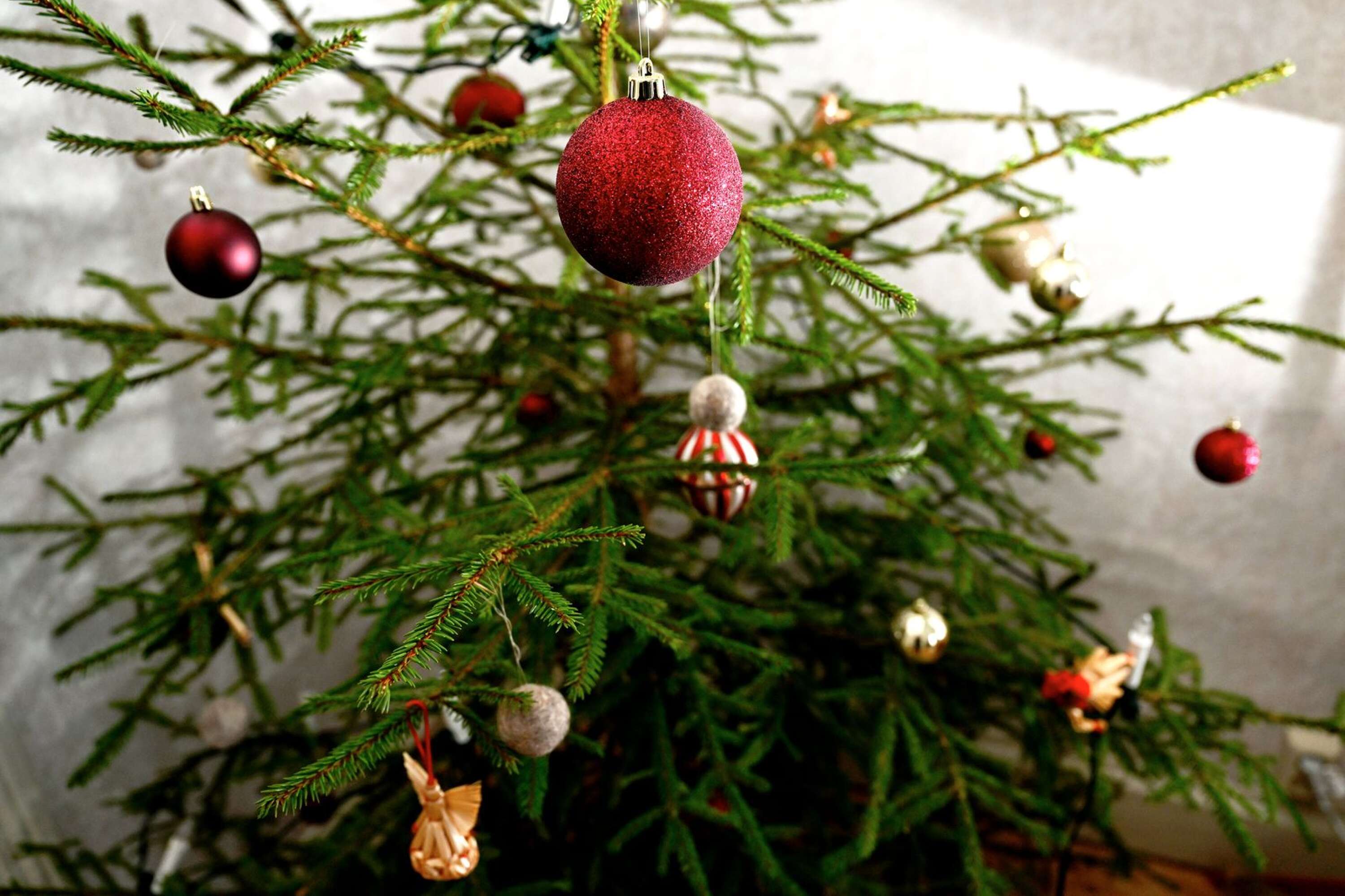Förutom julgranskulor pryds granen i vardagsrummet av ullbollar från fåret Ulrik.