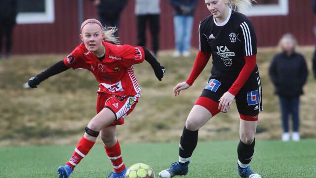 Det blir spännande direkt från start när Mariestad Bois och Töreboda IK drabbas i ett derby under måndagen. (ARKIVBILD)